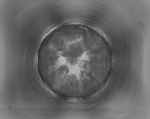 X0000111790790200908201130