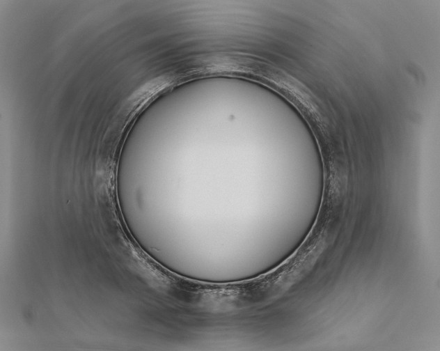 X0000111790793200908201130