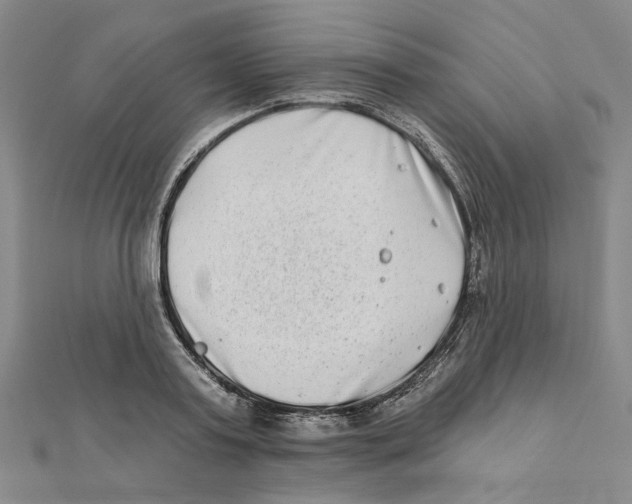 X0000111790795200908201130