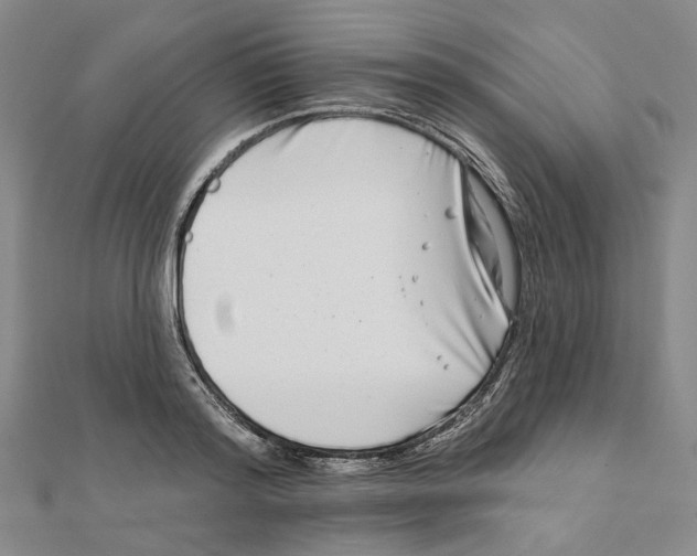 X0000111790796200908201130