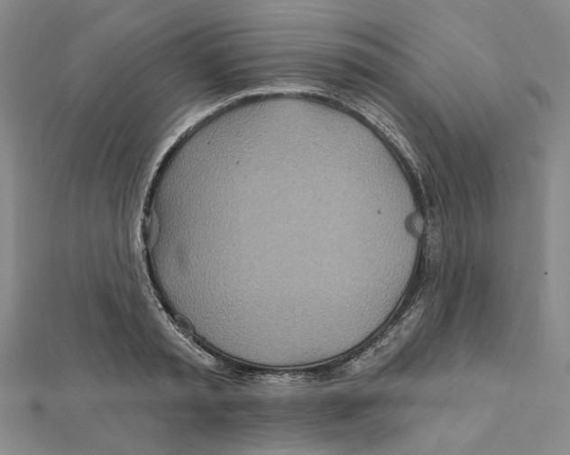 X0000111790797200908201130