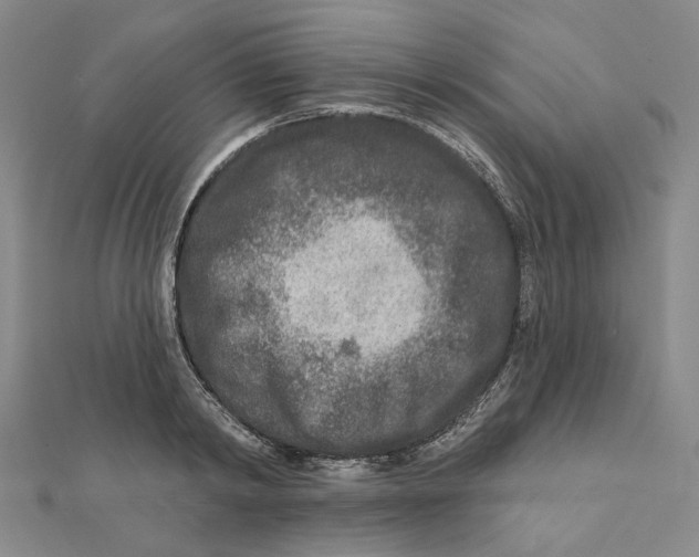 X0000111790798200908201130