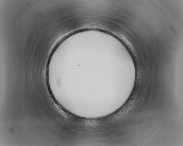 X0000111790799200908201130