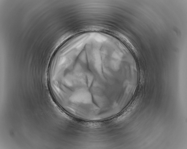 X0000111790802200908201130