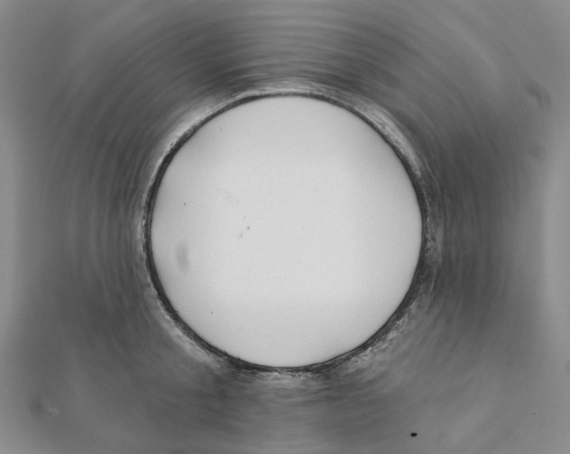 X0000111790805200908201130