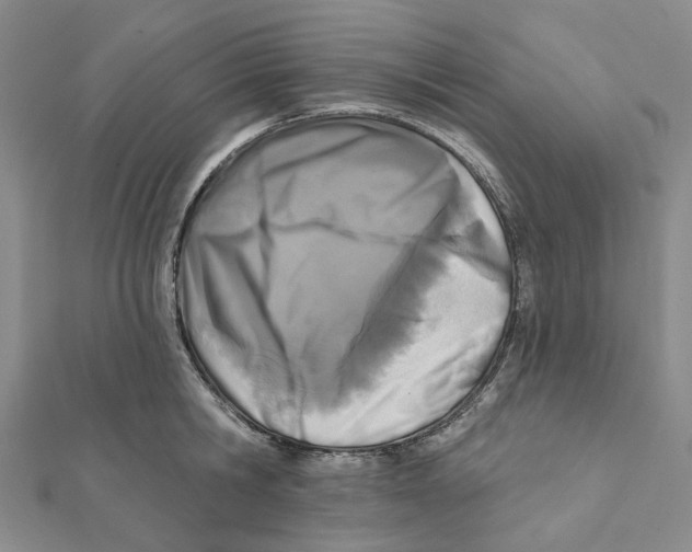 X0000111790806200908201130