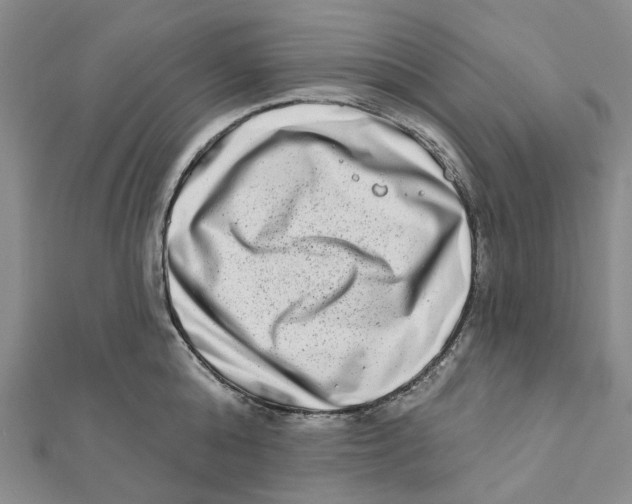 X0000111790808200908201130