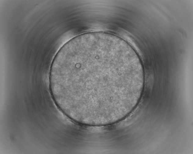 X0000111790810200908201130