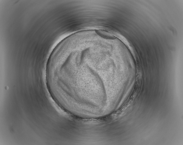 X0000111790811200908201130