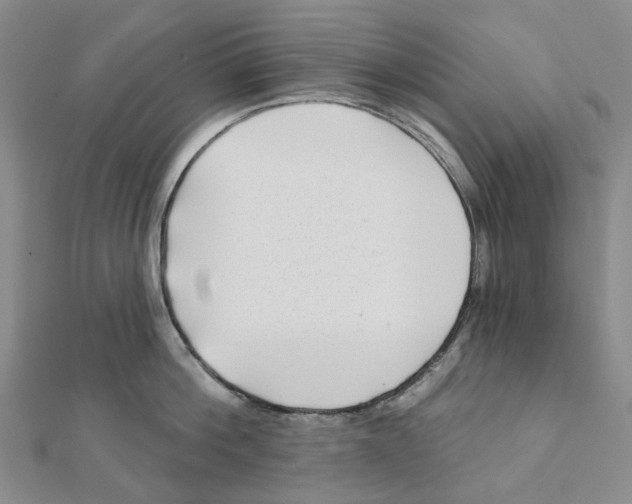 X0000111790812200908201130