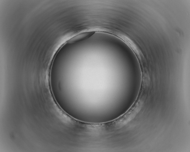 X0000111790813200908201130