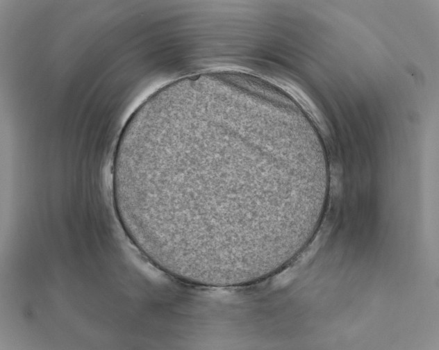 X0000111790814200908201130