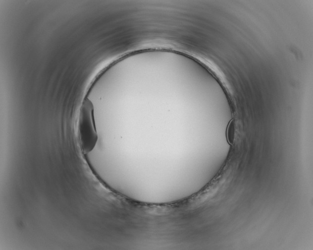 X0000111790815200908201130