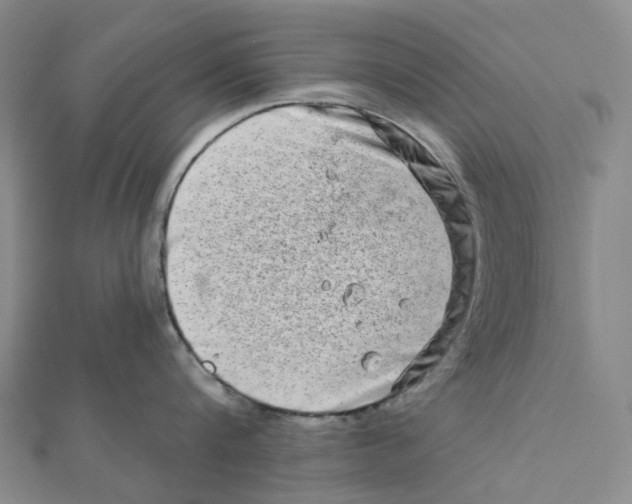 X0000111790816200908201130