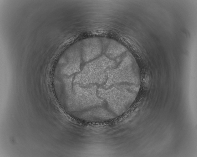 X0000111790817200908201129