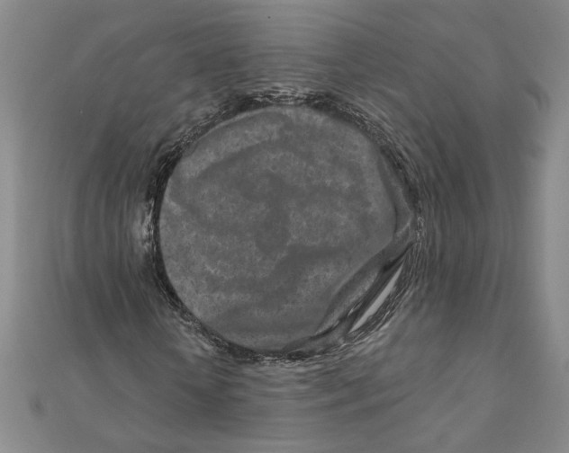 X0000111790818200908201129