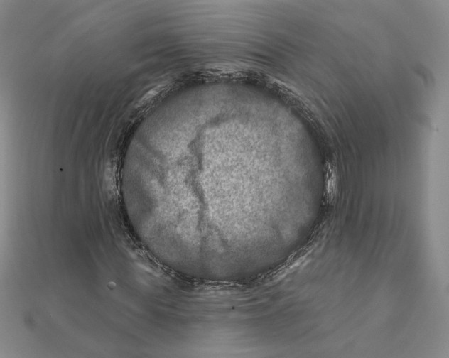 X0000111790819200908201129