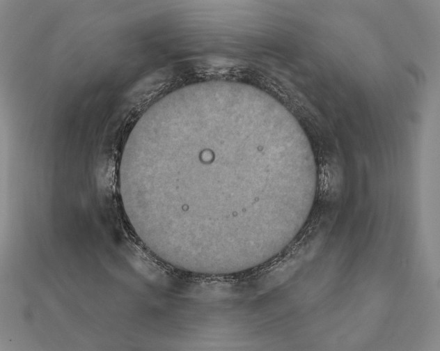 X0000111790820200908201129