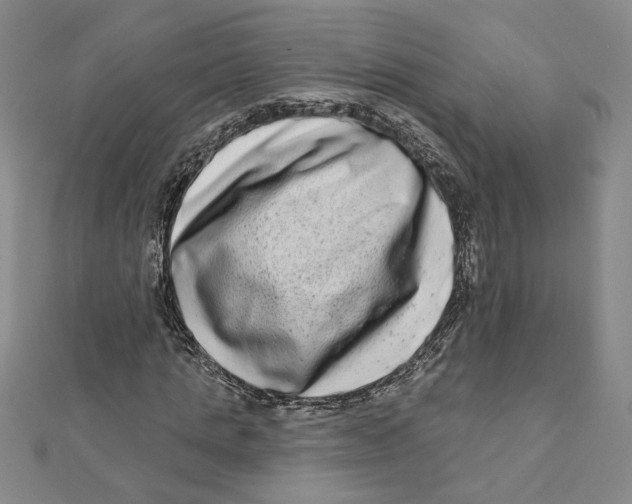 X0000111790821200908201129