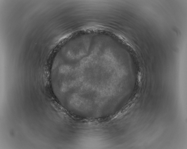 X0000111790822200908201130