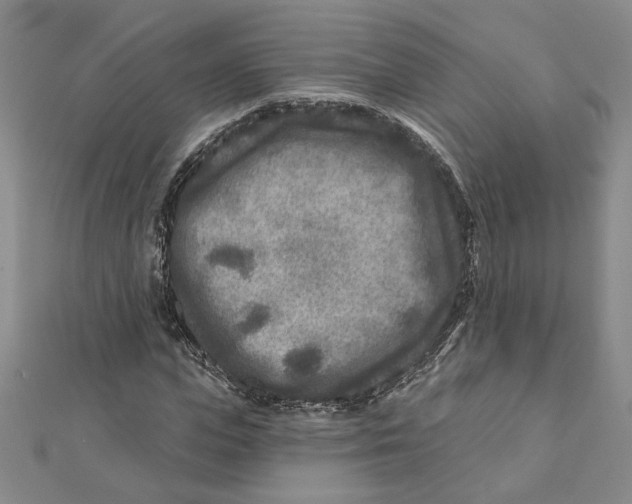 X0000111790823200908201130