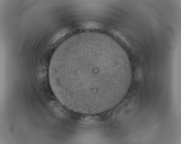 X0000111790824200908201130