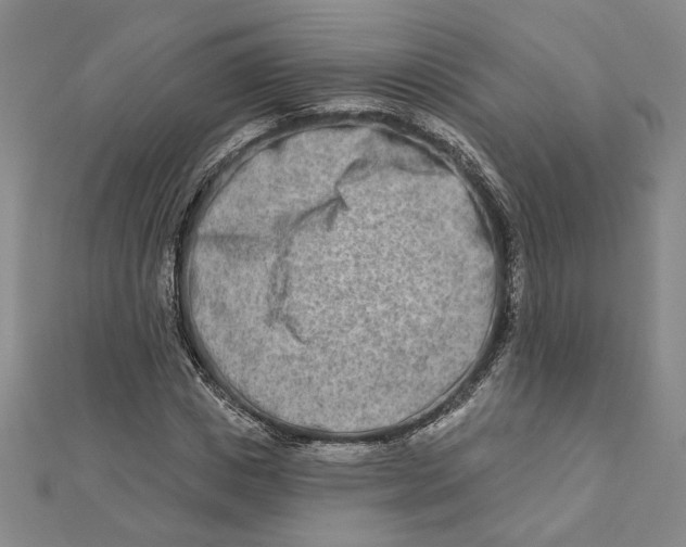 X0000111790825200908201130