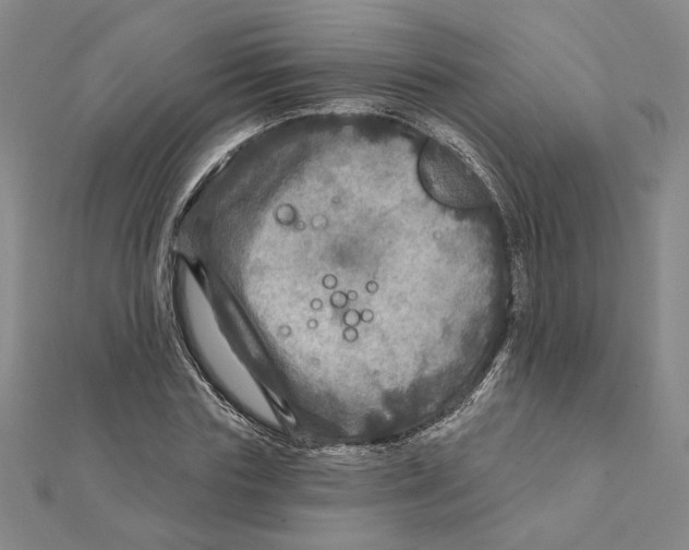 X0000111790827200908201130