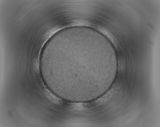 X0000111790828200908201130