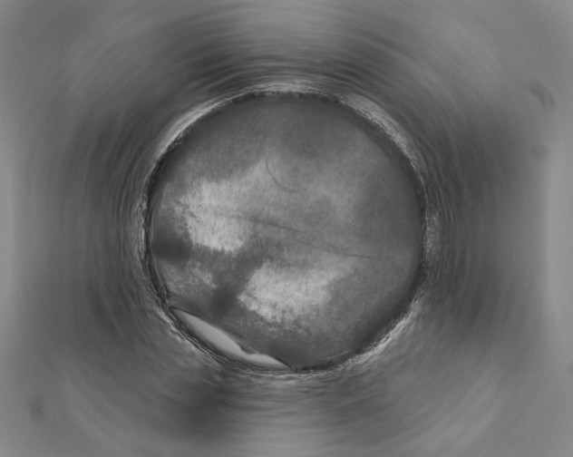 X0000111790829200908201130