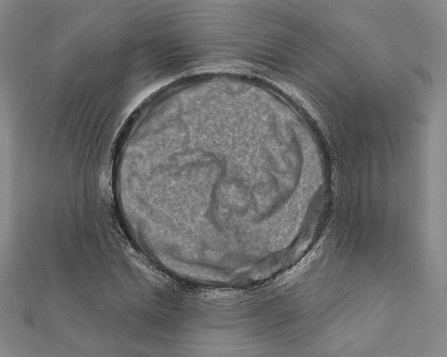 X0000111790830200908201130