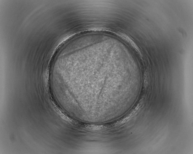 X0000111790831200908201130