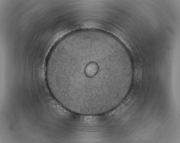 X0000111790832200908201130