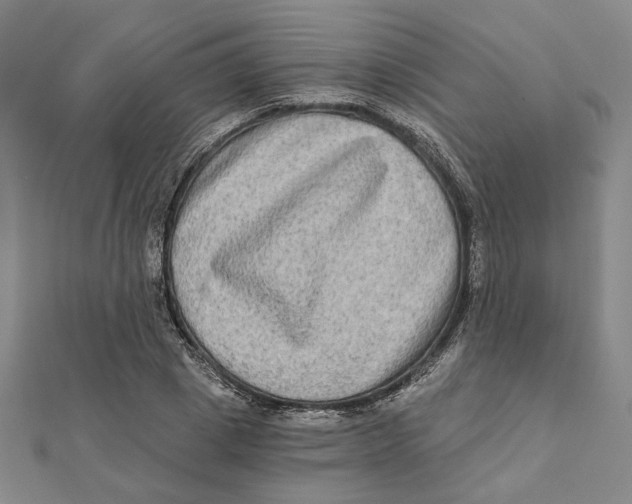 X0000111790833200908201130