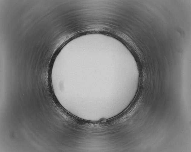 X0000111790834200908201130