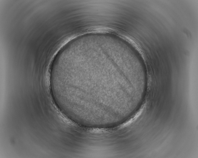 X0000111790835200908201130