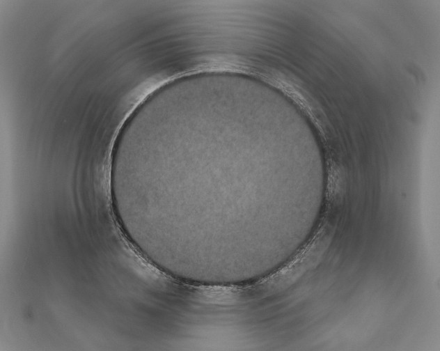 X0000111790836200908201130