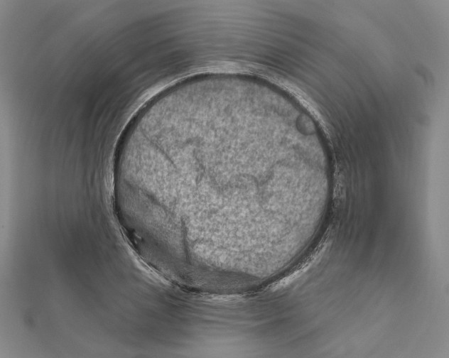 X0000111790837200908201130