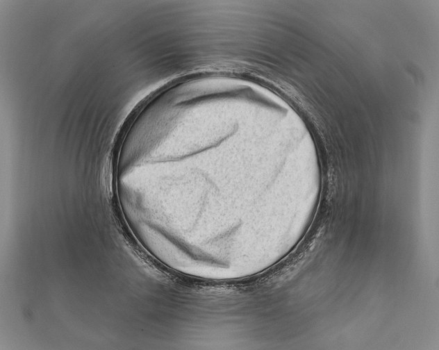 X0000111790838200908201130