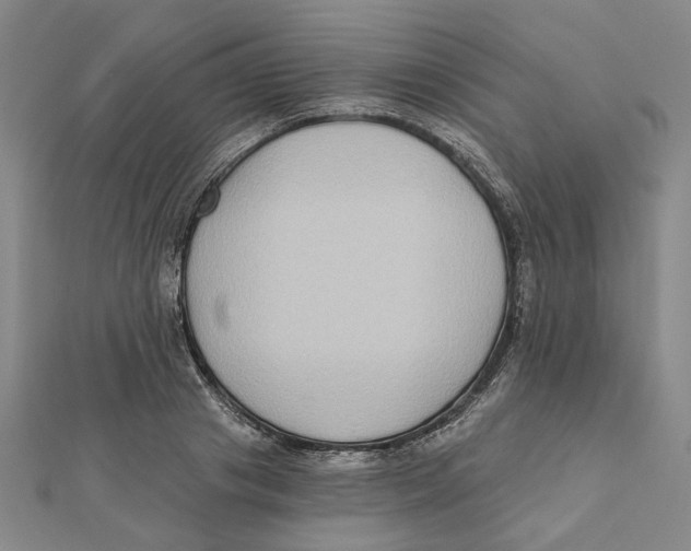 X0000111790841200908201130