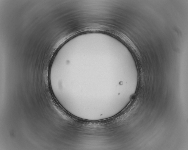 X0000111790842200908201130