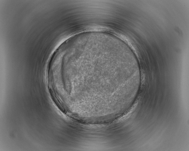 X0000111790843200908201130