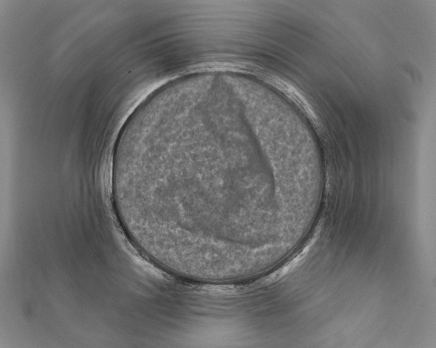 X0000111790844200908201130