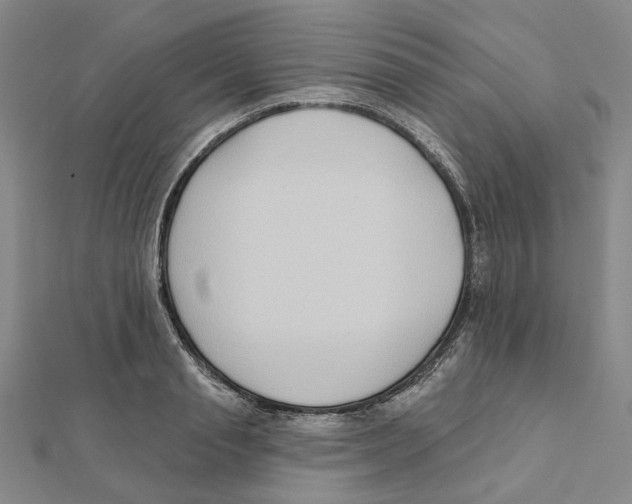 X0000111790845200908201130