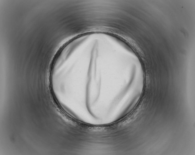 X0000111790846200908201130