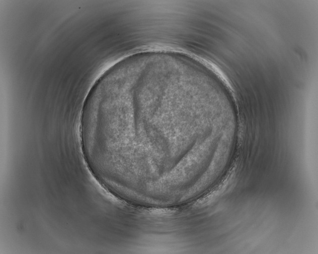 X0000111790847200908201130