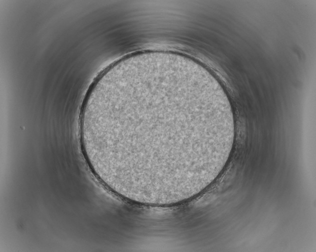 X0000111790848200908201130