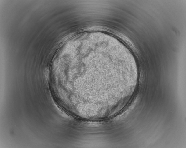 X0000111790849200908201130