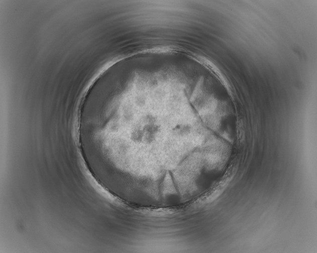 X0000111790851200908201130