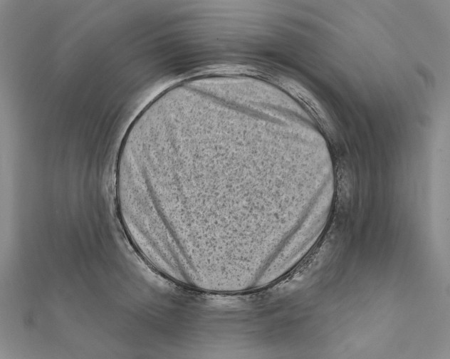 X0000111790852200908201130